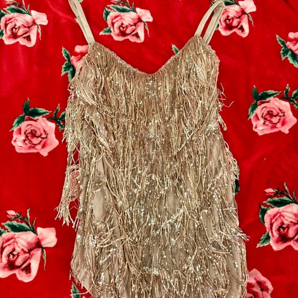 Amazing Lace Rose Gold Sequin Fringe Dress XL – Shake It My Way - Picture 5 of 9